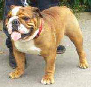 Tommie Smith z Lebedova dvora