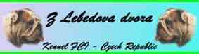 z Lebedova dvora